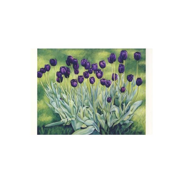 Peter Breeden. Schwarze Tulpen, 2002