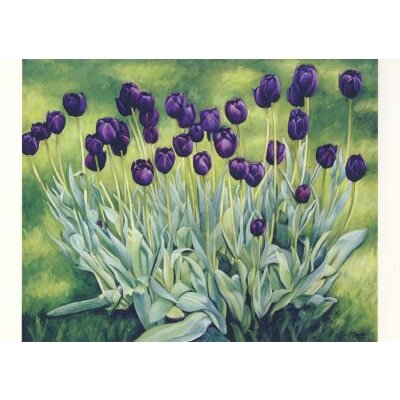 Peter Breeden. Schwarze Tulpen, 2002
