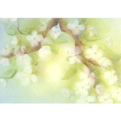 Baukje Exler. Blumenzweig