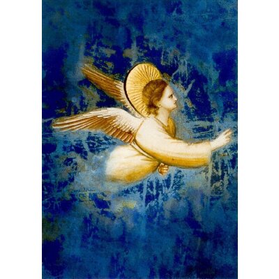 Giotto di Bondone. Engel, Ausschnitt, um 1303/05