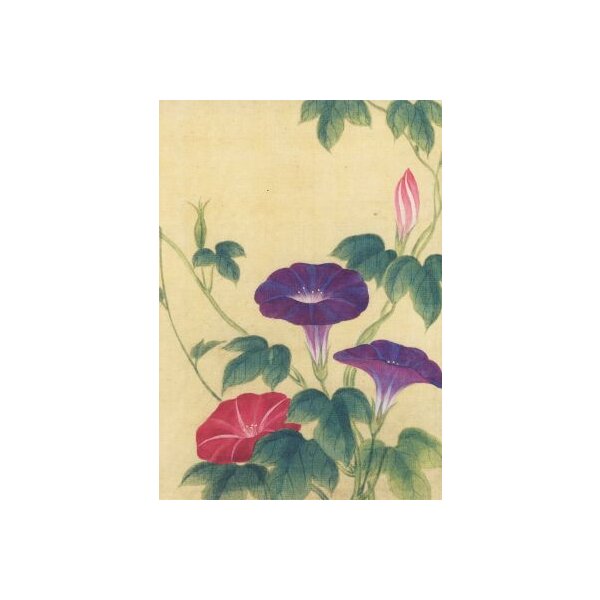 Japanischer Künstler. Trichterwinde