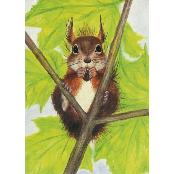 Heike Stinner. Eichhörnchen mit Nuss