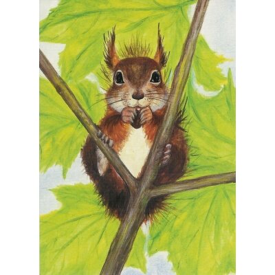 Heike Stinner. Eichhörnchen mit Nuss