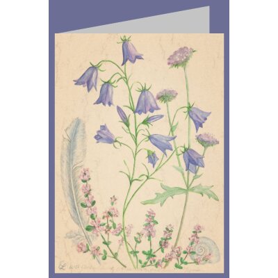 Anna Malten. Glockenblume, Wiesenwitwenblume, Thymia.  MC