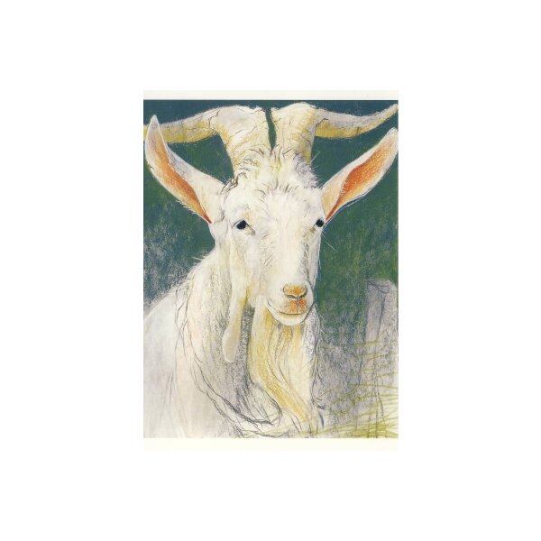 Loes Botman. Holländische Landziege, 2005. KK