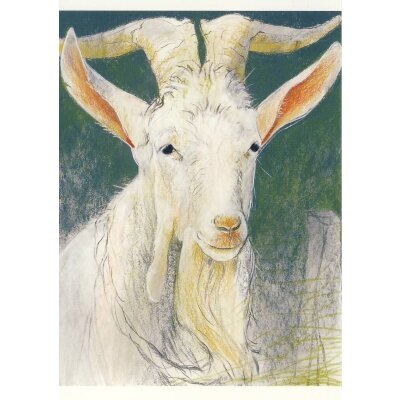 Loes Botman. Holländische Landziege, 2005. KK