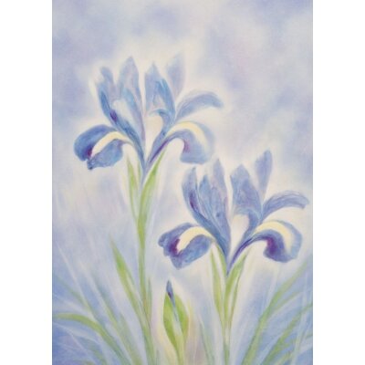 Jan de Kok. Schwertlilien, Iris