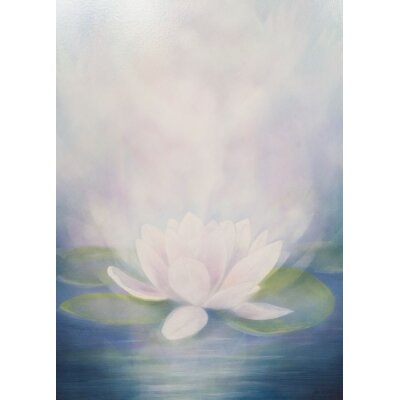 Jan de Kok. Lotus.