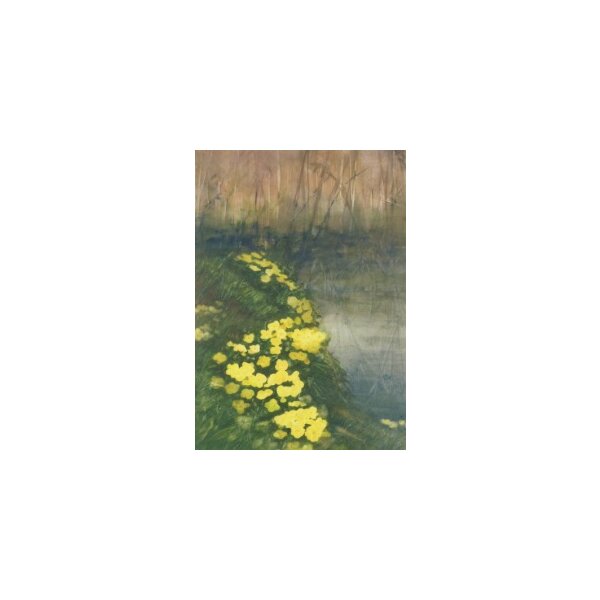 Jaap Tol. Sumpfdotterblumen, 2005