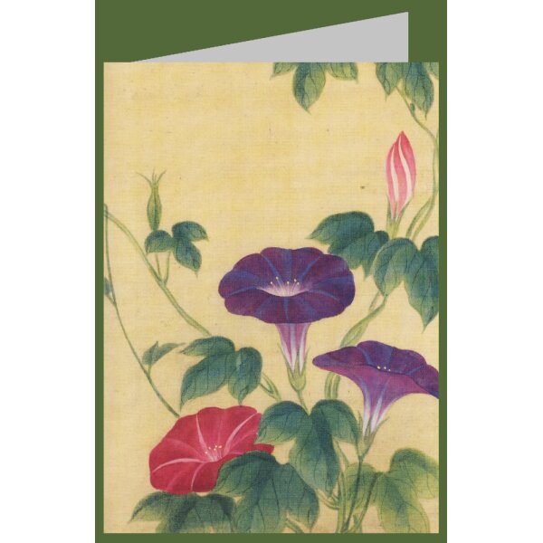 Unbekannter Japanischer Künstler. Trichterwinde