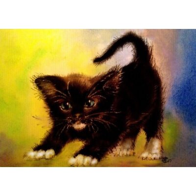 Natalya Yeshchenko. Kleine schwarze Katze