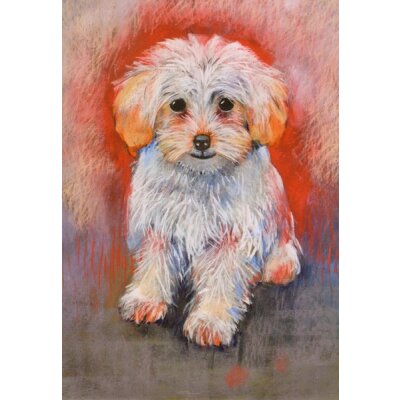 Loes Botman. Hund. Malteser