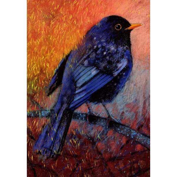Loes Botman. Amsel in der Morgendämmerung