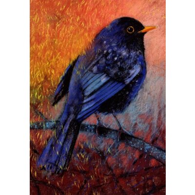 Loes Botman. Amsel in der Morgendämmerung