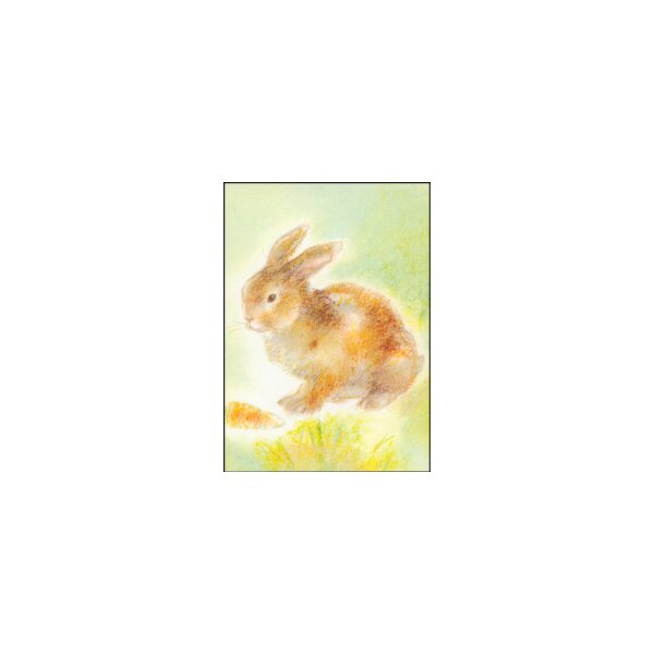 Grills, C. Meine Tiere 2, Kaninchen. KK