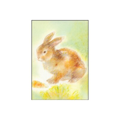 Grills, C. Meine Tiere 2, Kaninchen. KK