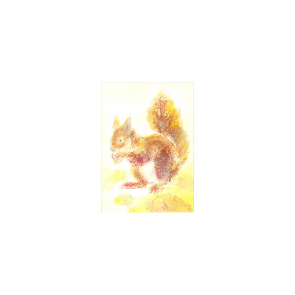 Grills, C. Meine Tiere 4, Eichhörnchen. KK.