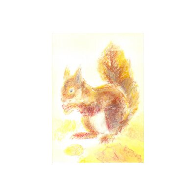 Grills, C. Meine Tiere 4, Eichhörnchen. KK.