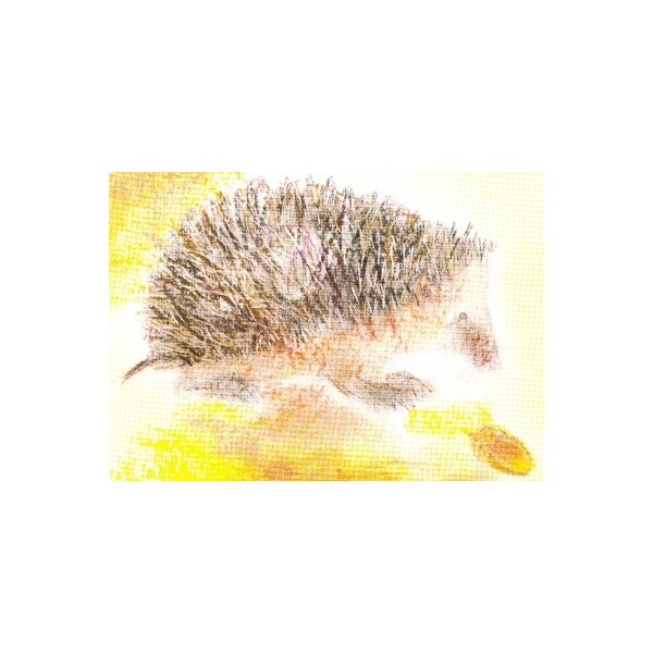 Carla Grills. Meine Tiere 6, Igel