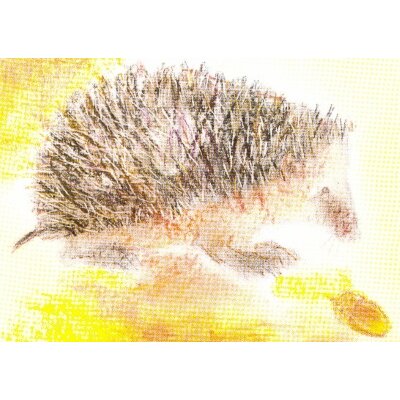 Carla Grills. Meine Tiere 6, Igel