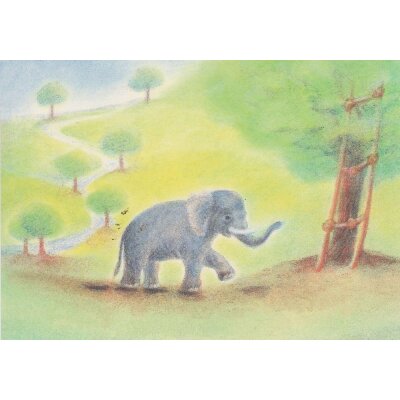 Gabriela de Carvalho. Elefant