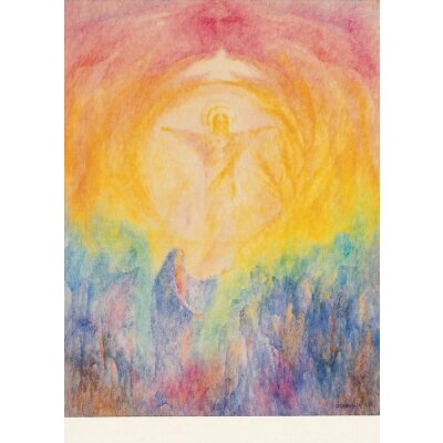 Habegger, J.D. Sommer-Imagination