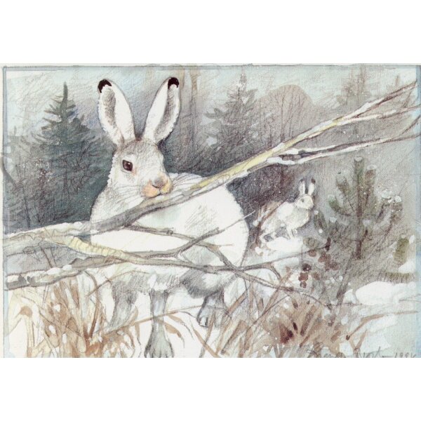Ingvar Björk. Schneehase