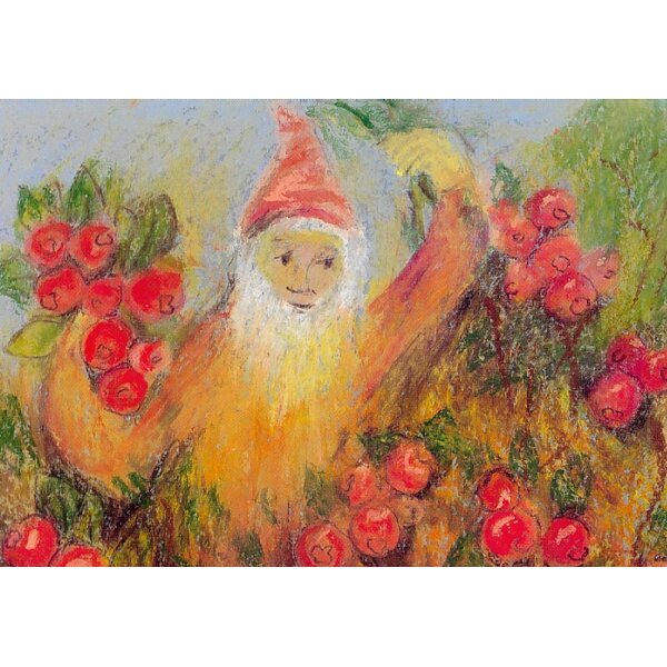 Elke Bühler. Zwerg pflegt die Preiselbeeren.