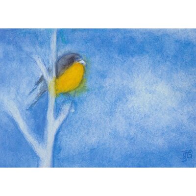 Jula Scholzen-Gnad. Meise im Winter