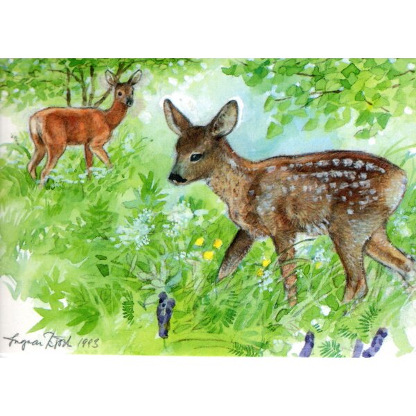 Björk, Ingvar. Rehe