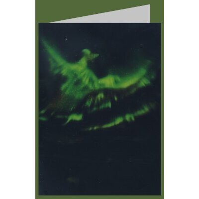 Polarlicht, Island