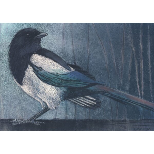 Loes Botman. Elster, 2015 Pastell