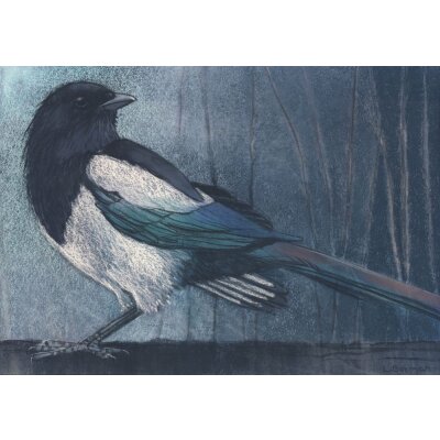 Loes Botman. Elster, 2015 Pastell