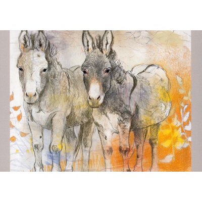 Loes Botman. Kleiner Esel