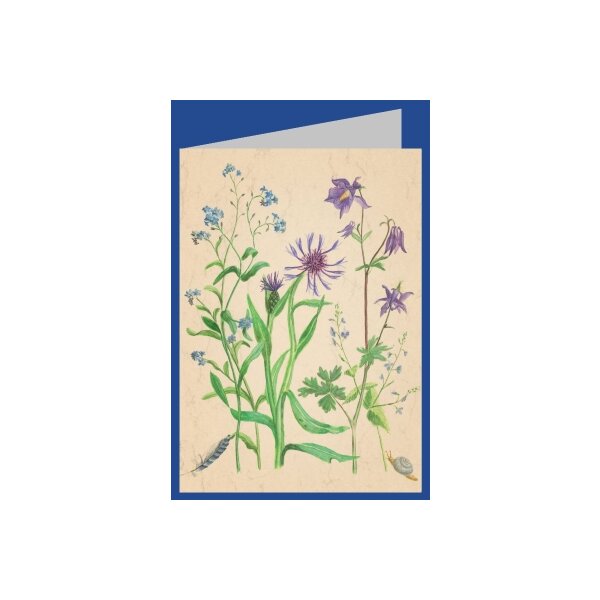 Anna Malten. Vergissmeinnicht,Flockenblume,Akelei,Ehrenpreis