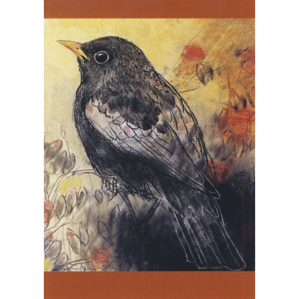 Loes Botman. Amsel