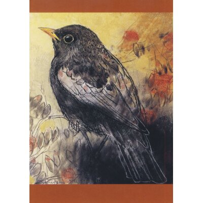 Loes Botman. Amsel