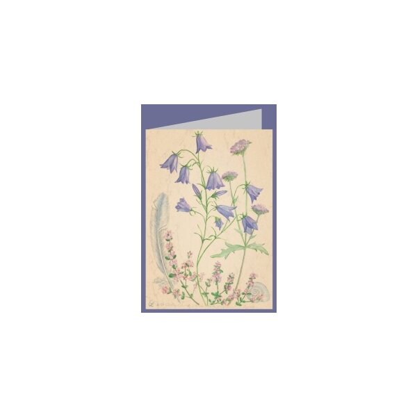 Anna Malten. Glockenblume, Wiesenwitwenblume, Thymian