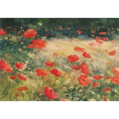 Jaap Tol. Feld mit Klatschmohn, 2005. KK