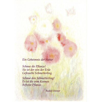 Steiner/Childs. Schaue die Pflanze!