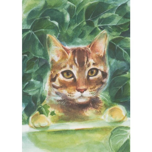 Marie-Laure Viriot. Katze