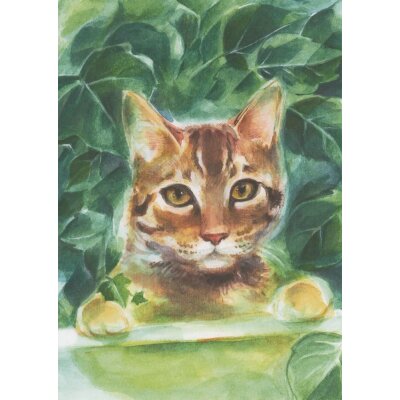 Marie-Laure Viriot. Katze