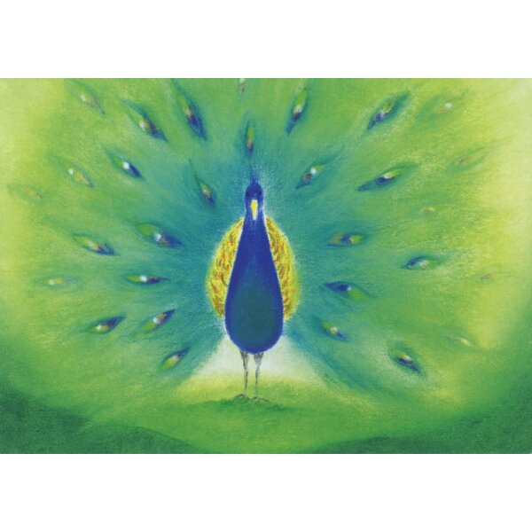 Baukje Exler. The peacock
