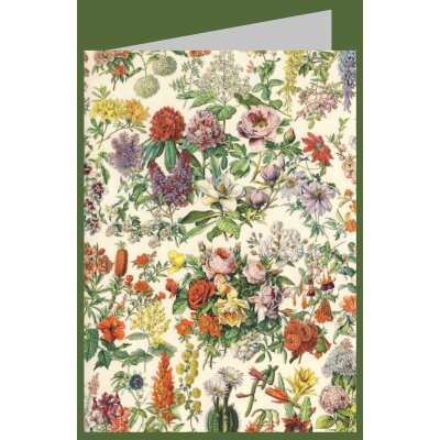 Botanische Illustration. Variationen von Blüten, 19....