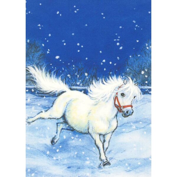 Nordqvist. Pony im Galopp