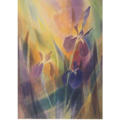 Collot d`Herbois. Iris, Anfang 1970er