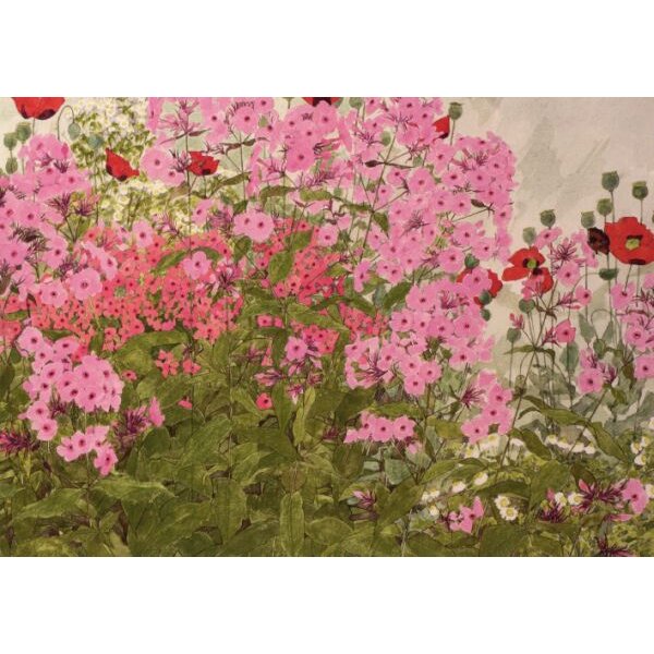 Linda Benton. Rosa Phiox und Mohnblumen mit e. Schmetterling