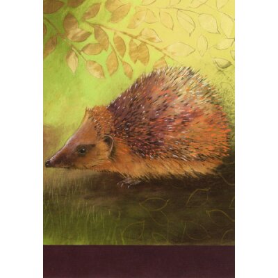 Loes Botman. Igel