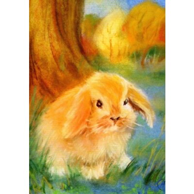 Natalya Yeshchenko. Der Hase