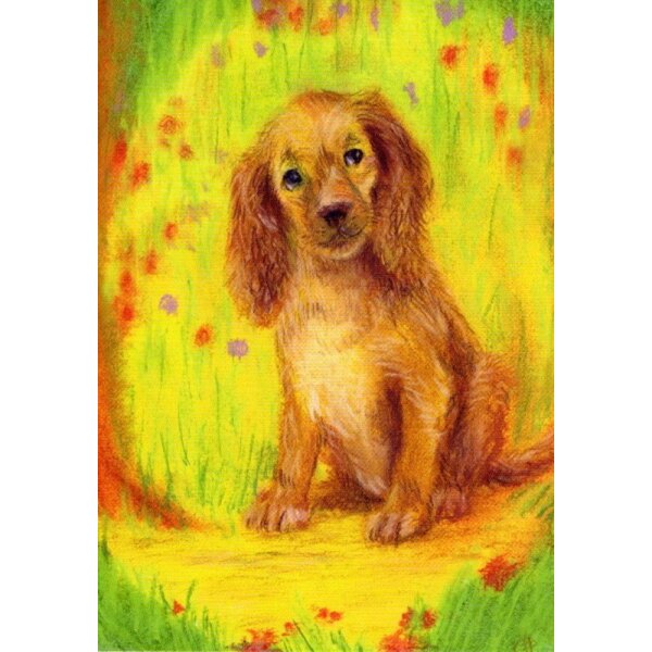 Natalya Yeshchenko. Der Hund